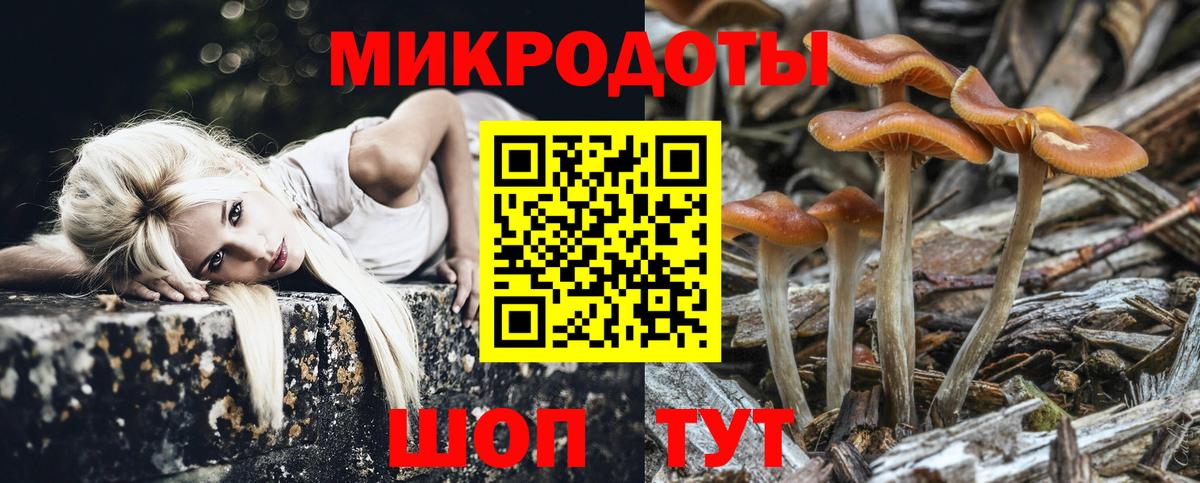 Галлюциногенные грибы мухоморы Карпинск